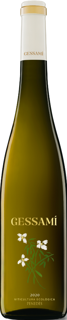 GESSAMÍ – BIO