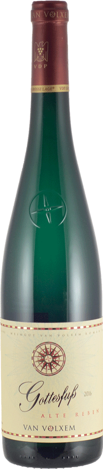GOTTESFUSS RIESLING ALTE REBEN GROSSES GEWÄCHS