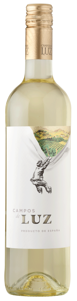 CAMPOS DE LUZ BLANCO