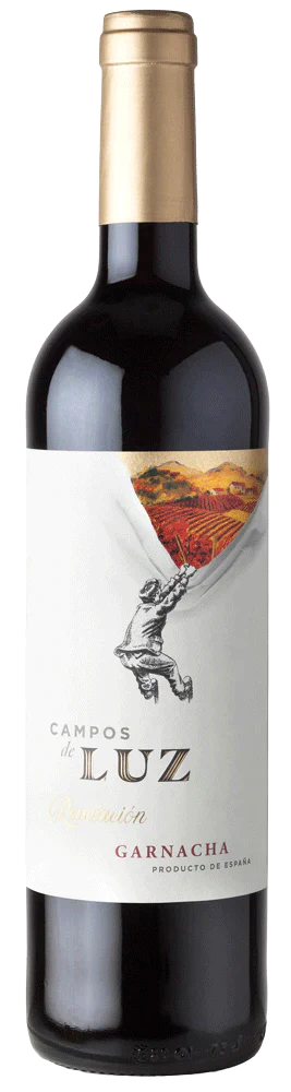 CAMPOS DE LUZ REVELACIÓN