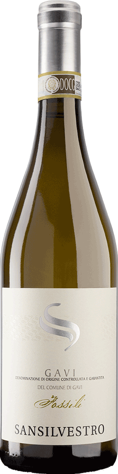 GAVI DI GAVI FOSSILI DOC