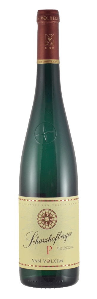 SCHARZHOFBERGER -P- RIESLING GROSSES GEWÄCHS - MAGNUM